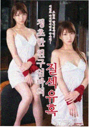 繁花 百度云资源