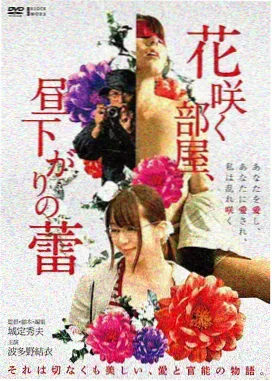 独行月球 百度云